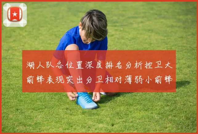 湖人队各位置深度排名分析控卫大前锋表现突出分卫相对薄弱小前锋与中锋处于中游水平