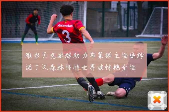 维尔贝克进球助力布莱顿主场逆转诺丁汉森林怀特世界波惊艳全场